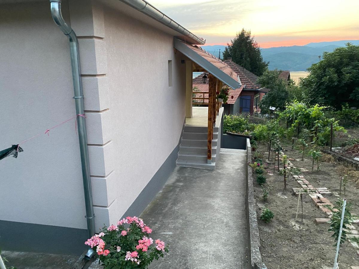 Smestaj Zeka Tekija Tekija (Bor) Exterior foto