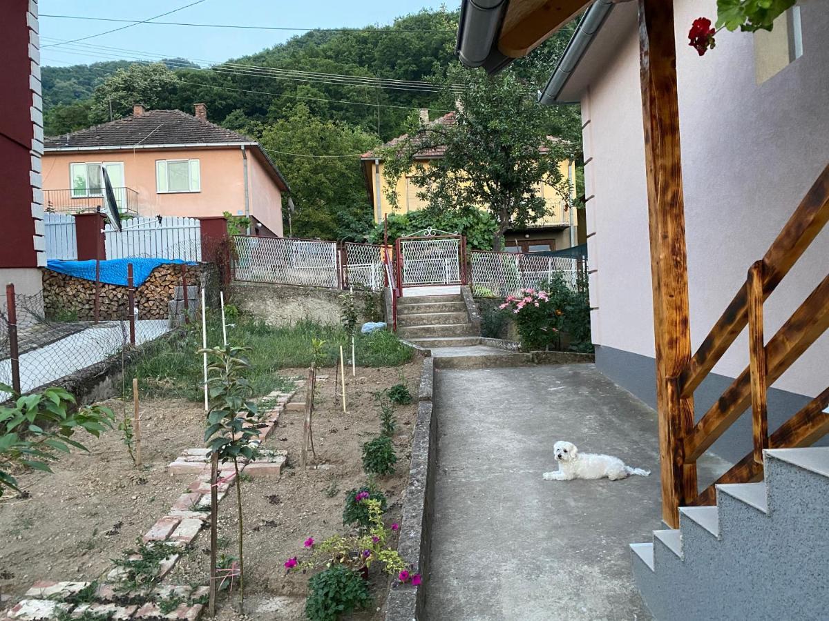 Smestaj Zeka Tekija Tekija (Bor) Exterior foto